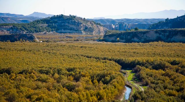 Foto del Pantano de Puentes